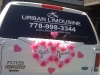 weddinglimo5