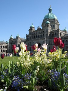 victoria island tour