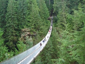 vancouver-sightseeing-tour-capilano-suspension-bridge north vancouver sightseeing limo tour