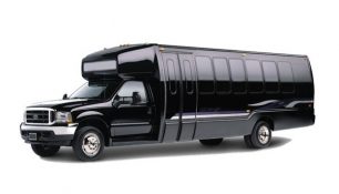 Executive Bus
