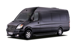 Executive Passenger Van
